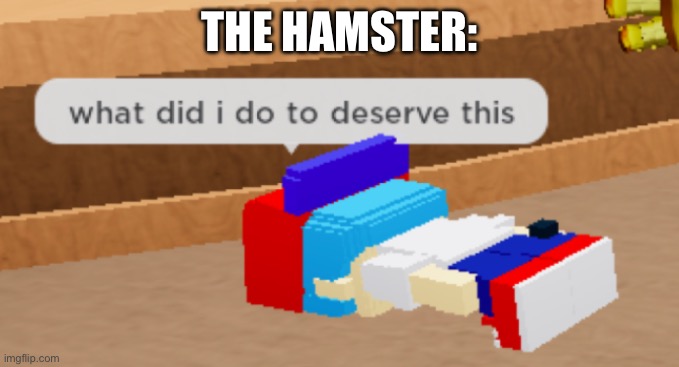 what did i do to deserve this | THE HAMSTER: | image tagged in what did i do to deserve this | made w/ Imgflip meme maker