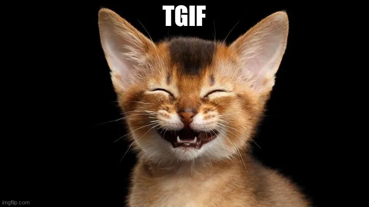 tgif_cat | TGIF | image tagged in happy_cat,yay it's friday | made w/ Imgflip meme maker