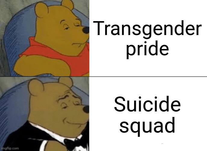 Getting canceled speedrun | Transgender pride; Suicide squad | image tagged in memes,tuxedo winnie the pooh | made w/ Imgflip meme maker