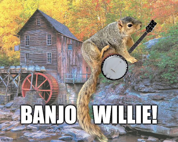 Banjo Willie | BANJO    WILLIE! | image tagged in banjo,dueling banjos,squirrel,willie,willie the squirrel,banjo squirrel | made w/ Imgflip meme maker
