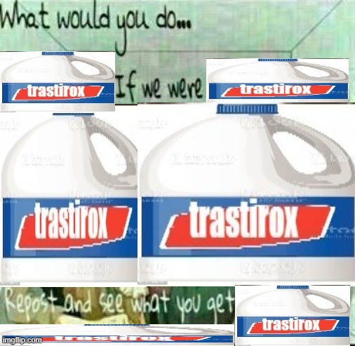 trastirox | image tagged in what would you do if we were stuck in a box | made w/ Imgflip meme maker