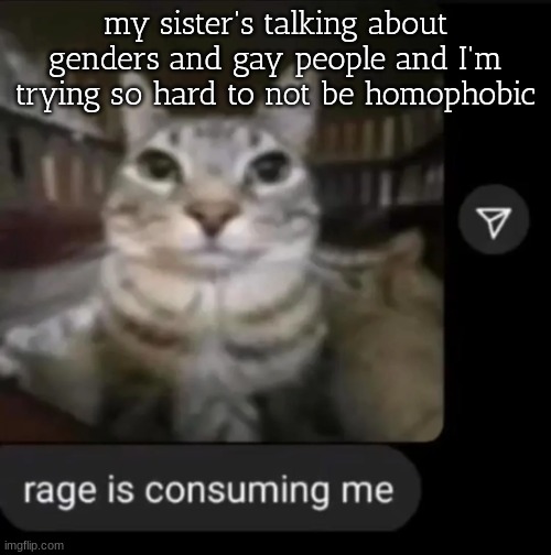 rage is consuming me | my sister's talking about genders and gay people and I'm trying so hard to not be homophobic | image tagged in rage is consuming me | made w/ Imgflip meme maker