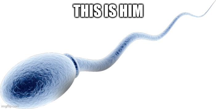 sperm cell | THIS IS HIM | image tagged in sperm cell | made w/ Imgflip meme maker