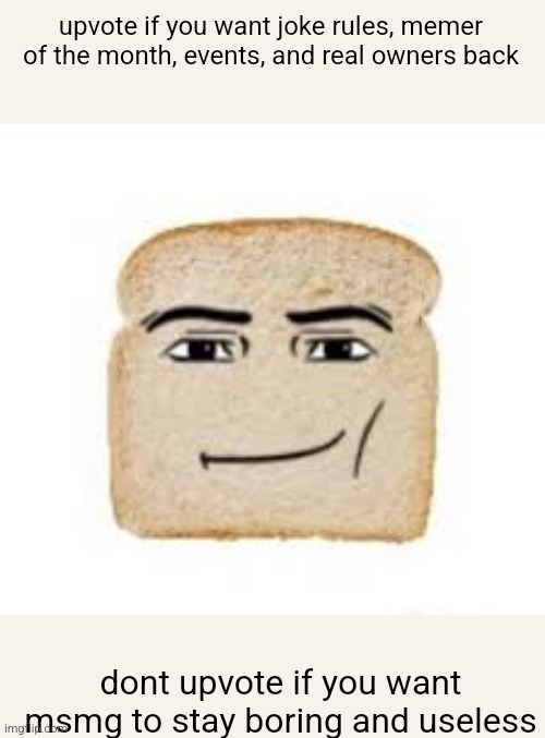FREE MSMG | upvote if you want joke rules, memer of the month, events, and real owners back; dont upvote if you want msmg to stay boring and useless | image tagged in man face bread | made w/ Imgflip meme maker