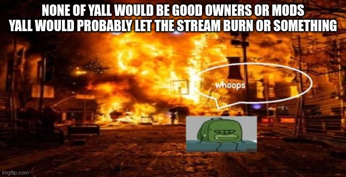 whoops | NONE OF YALL WOULD BE GOOD OWNERS OR MODS

YALL WOULD PROBABLY LET THE STREAM BURN OR SOMETHING | image tagged in whoops | made w/ Imgflip meme maker