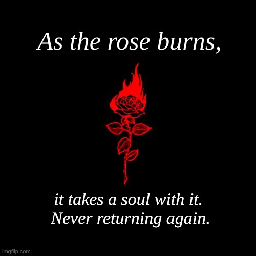 As the rose burns, it takes a soul with it. 
Never returning again. | made w/ Imgflip meme maker