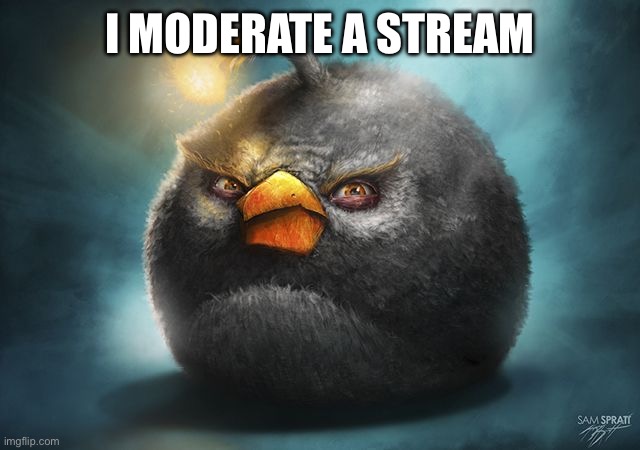 angry birds bomb | I MODERATE A STREAM | image tagged in angry birds bomb | made w/ Imgflip meme maker