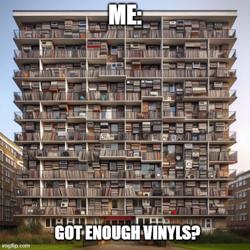 Got enough vinyls? | ME:; GOT ENOUGH VINYLS? | image tagged in vinyl,playing vinyl records | made w/ Imgflip meme maker