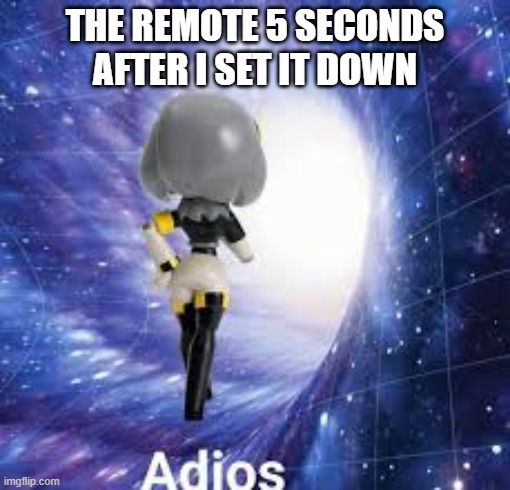 And then I realize it’s still in my hands | THE REMOTE 5 SECONDS AFTER I SET IT DOWN | image tagged in adios | made w/ Imgflip meme maker