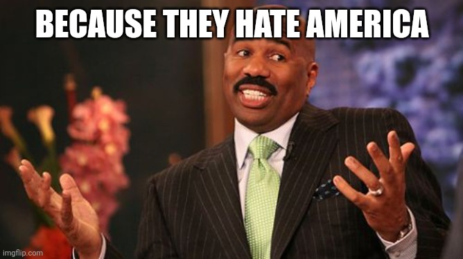 BECAUSE THEY HATE AMERICA | image tagged in memes,steve harvey | made w/ Imgflip meme maker