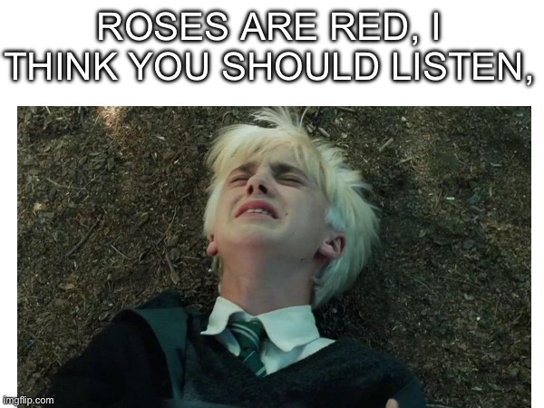 ROSES ARE RED, I THINK YOU SHOULD LISTEN, | made w/ Imgflip meme maker