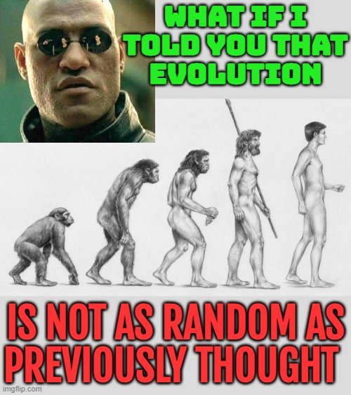Evolution Is Not As Random | WHAT IF I
TOLD YOU THAT
EVOLUTION; IS NOT AS RANDOM AS
PREVIOUSLY THOUGHT | image tagged in darwin,evolution,human evolution,human race,the human body,science | made w/ Imgflip meme maker