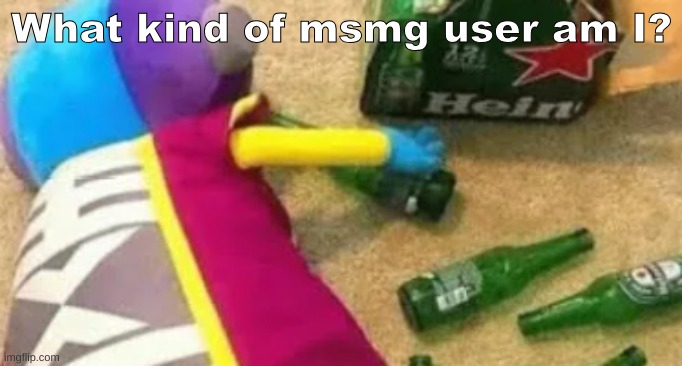 Idiot | What kind of msmg user am I? | image tagged in idiot | made w/ Imgflip meme maker