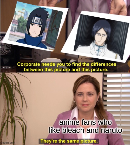 They're The Same Picture | anime fans who like bleach and naruto | image tagged in memes,they're the same picture | made w/ Imgflip meme maker