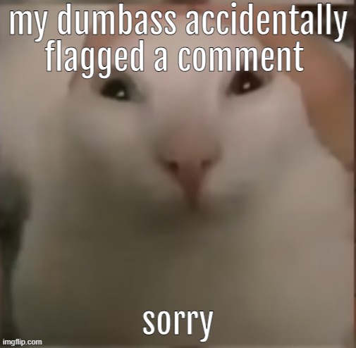 goly gee wilikers | my dumbass accidentally flagged a comment; sorry | image tagged in goly gee wilikers | made w/ Imgflip meme maker