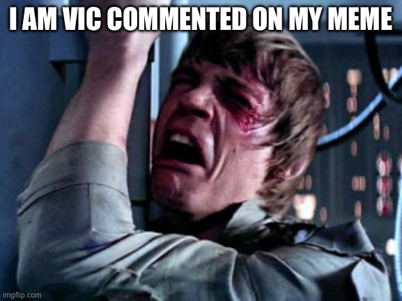 Luke Skywalker Noooo | I AM VIC COMMENTED ON MY MEME | image tagged in luke skywalker noooo | made w/ Imgflip meme maker