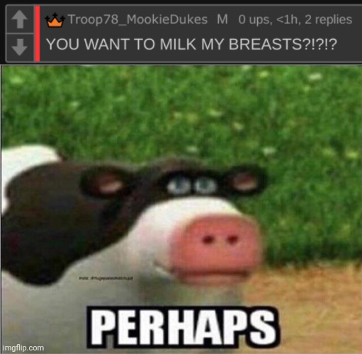 image tagged in mookie you want to milk my breasts,perhaps cow | made w/ Imgflip meme maker