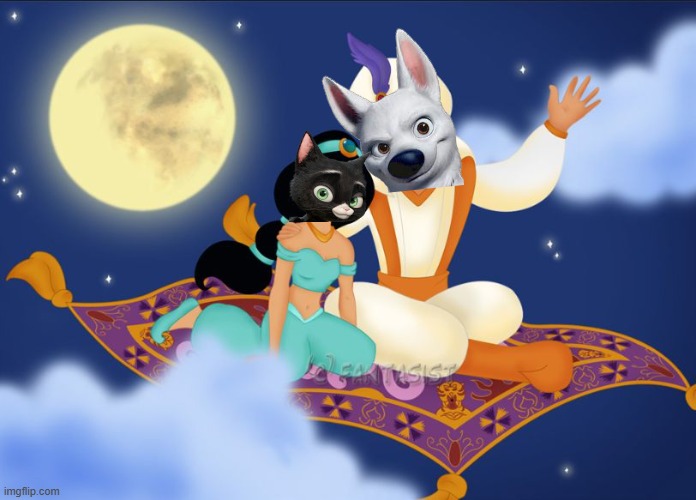 bolttens magic carpet ride | image tagged in a whole new world,disney,dogs,cats,romance | made w/ Imgflip meme maker