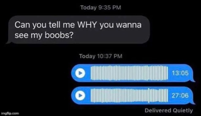 can you tell me why you wanna see my boobs | image tagged in can you tell me why you wanna see my boobs | made w/ Imgflip meme maker