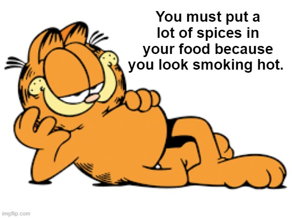 Garfield Rizz | You must put a lot of spices in your food because you look smoking hot. | image tagged in garfield | made w/ Imgflip meme maker