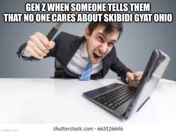 Gen z be like | GEN Z WHEN SOMEONE TELLS THEM THAT NO ONE CARES ABOUT SKIBIDI GYAT OHIO | image tagged in man hitting computer | made w/ Imgflip meme maker