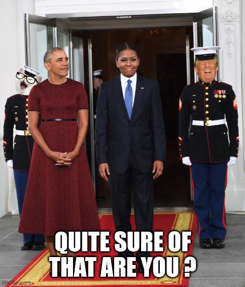 Big Mike Obama | QUITE SURE OF THAT ARE YOU ? | image tagged in big mike obama | made w/ Imgflip meme maker