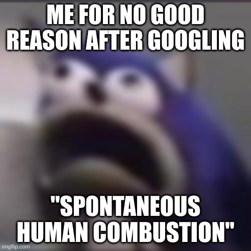 *constant fear noises* | ME FOR NO GOOD REASON AFTER GOOGLING; "SPONTANEOUS HUMAN COMBUSTION" | image tagged in distress | made w/ Imgflip meme maker