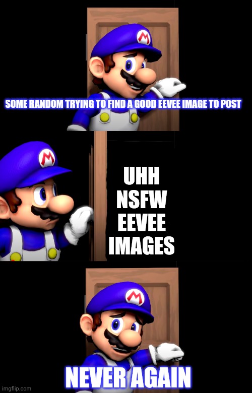 Smg4 door with no text | SOME RANDOM TRYING TO FIND A GOOD EEVEE IMAGE TO POST; UHH NSFW EEVEE IMAGES; NEVER AGAIN | image tagged in smg4 door with no text | made w/ Imgflip meme maker