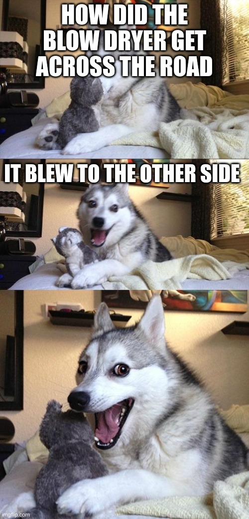 It is a bad joke | HOW DID THE BLOW DRYER GET ACROSS THE ROAD; IT BLEW TO THE OTHER SIDE | image tagged in bad joke dog | made w/ Imgflip meme maker