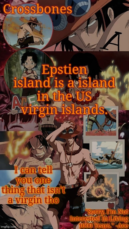 Crossbones' husband template | Epstien island is a island in the US virgin islands. I can tell you one thing that isn't a virgin tho | image tagged in crossbones' husband template | made w/ Imgflip meme maker