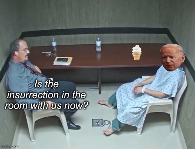 Joe Derp | Is the insurrection in the room with us now? | image tagged in are they in the room with us right now,politics lol,memes | made w/ Imgflip meme maker