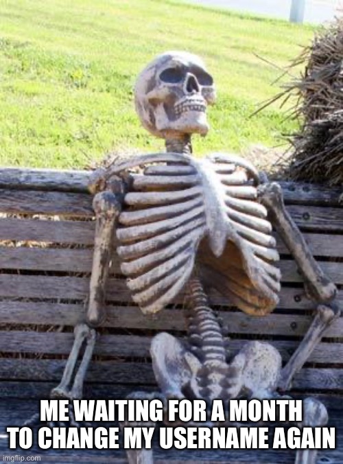 Me waiting a month | ME WAITING FOR A MONTH TO CHANGE MY USERNAME AGAIN | image tagged in memes,waiting skeleton | made w/ Imgflip meme maker