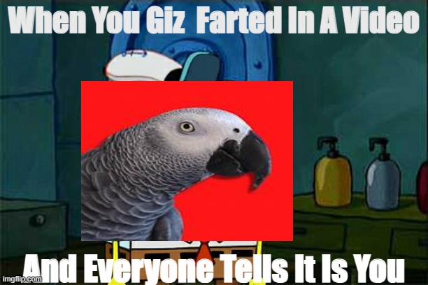 For @Gizmo The Grey Bird On Youtube | When You Giz  Farted In A Video; And Everyone Tells It Is You | image tagged in youtube,gizmo the grey bird,i giz farted,kissy fart,gizzy,don't you squidward | made w/ Imgflip meme maker