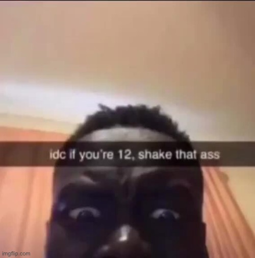 idc if your 12 shake that | image tagged in idc if your 12 shake that | made w/ Imgflip meme maker