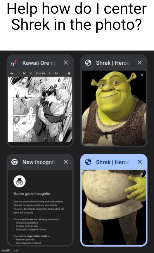 Help how do I center Shrek in the photo? | made w/ Imgflip meme maker