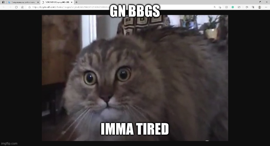 HUNTER kissinger | GN BBGS; IMMA TIRED | image tagged in hunter kissinger | made w/ Imgflip meme maker