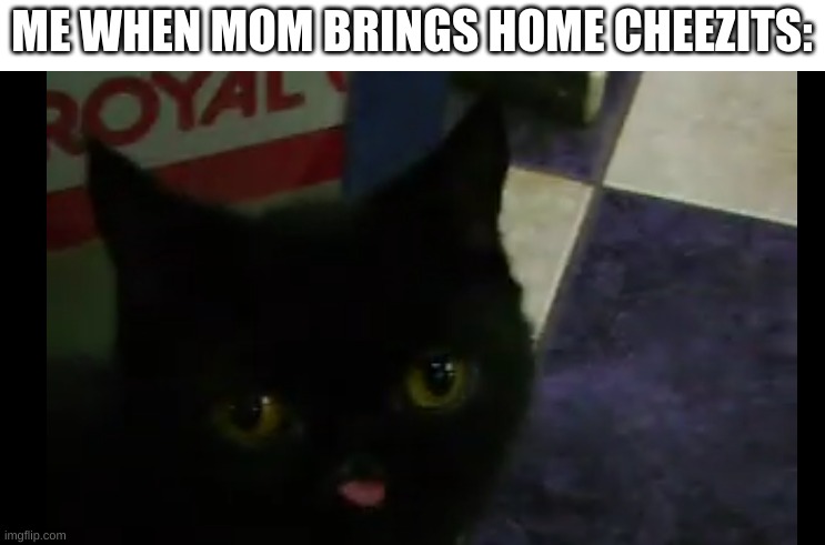 cheezit cat | ME WHEN MOM BRINGS HOME CHEEZITS: | image tagged in memes,funny,cats | made w/ Imgflip meme maker