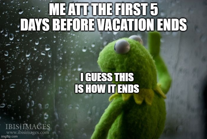 fr | ME ATT THE FIRST 5 DAYS BEFORE VACATION ENDS; I GUESS THIS IS HOW IT ENDS | image tagged in kermit window,sad,school | made w/ Imgflip meme maker