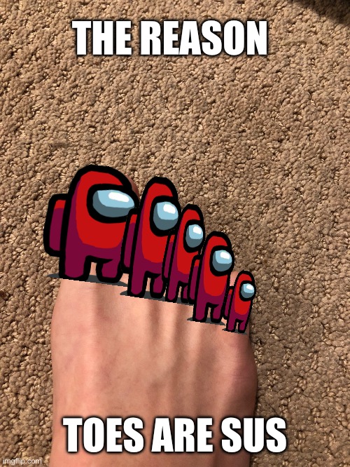 THE REASON; TOES ARE SUS | image tagged in memes,toes | made w/ Imgflip meme maker