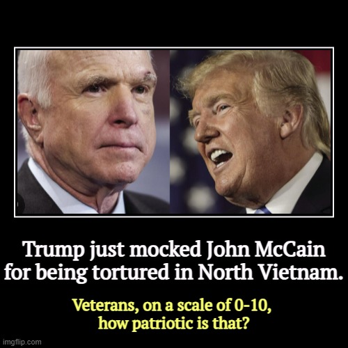 Admit it, Trump is downright crazy. | Trump just mocked John McCain for being tortured in North Vietnam. | Veterans, on a scale of 0-10, 
how patriotic is that? | image tagged in funny,demotivationals,john mccain,hero,trump,draft | made w/ Imgflip demotivational maker