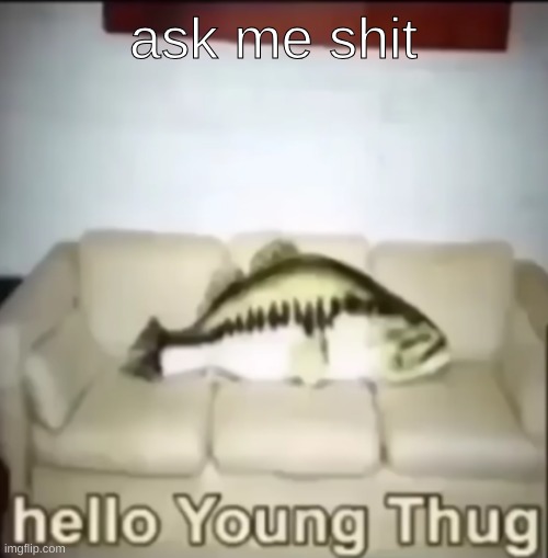 Hello Young Thug | ask me shit | image tagged in hello young thug | made w/ Imgflip meme maker