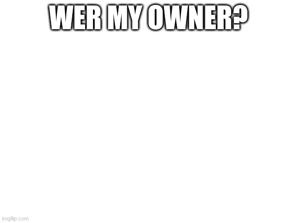 WER MY OWNER? | made w/ Imgflip meme maker