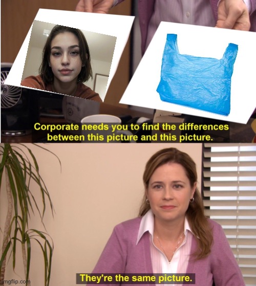 Self roast idk | image tagged in memes,they're the same picture | made w/ Imgflip meme maker