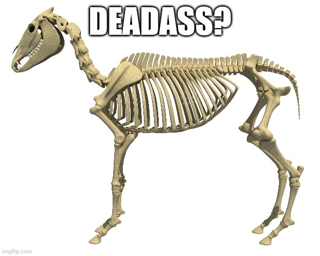 Deadass? | DEADASS? | image tagged in donkey | made w/ Imgflip meme maker
