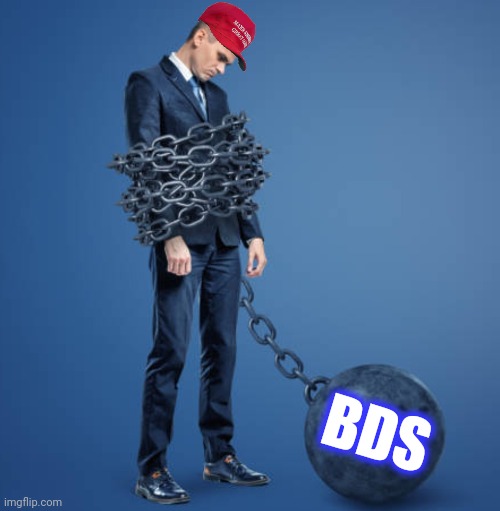 BDS | made w/ Imgflip meme maker