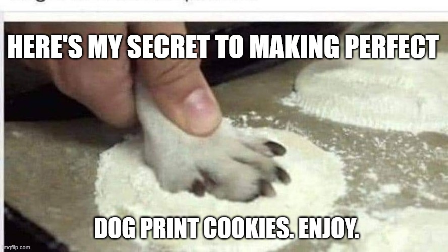 meme by Brad secret to making dog print cookies | HERE'S MY SECRET TO MAKING PERFECT; DOG PRINT COOKIES. ENJOY. | image tagged in humor,funny meme,cookies,cooking,dog | made w/ Imgflip meme maker
