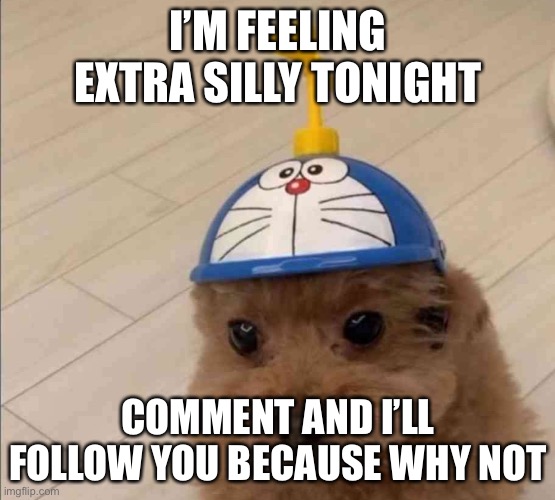 Mort | I’M FEELING EXTRA SILLY TONIGHT; COMMENT AND I’LL FOLLOW YOU BECAUSE WHY NOT | image tagged in mort | made w/ Imgflip meme maker