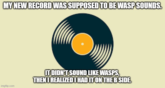 meme by Brad record of wasp sounds | MY NEW RECORD WAS SUPPOSED TO BE WASP SOUNDS. IT DIDN'T SOUND LIKE WASPS, THEN I REALIZED I HAD IT ON THE B SIDE. | image tagged in humor,insects,funny meme,bad pun | made w/ Imgflip meme maker