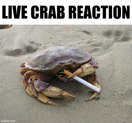 Live crab reaction | image tagged in live crab reaction | made w/ Imgflip meme maker