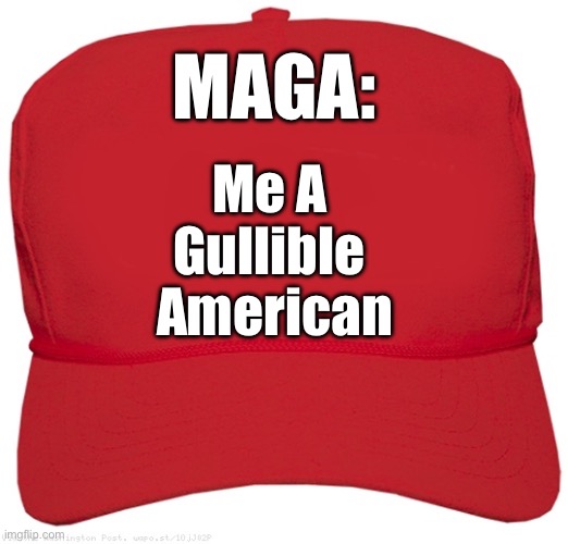 MAGA: Me A Gullible American | MAGA:; Me A 
Gullible 
American | image tagged in blank red maga hat,maga,donald trump,funny memes,politics,nevertrump | made w/ Imgflip meme maker